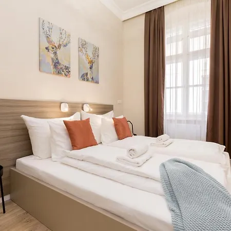 Cozy Dream In The Absolute Center