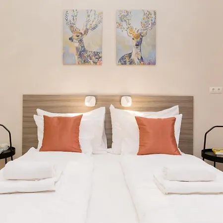 Cozy Dream In The Absolute Center