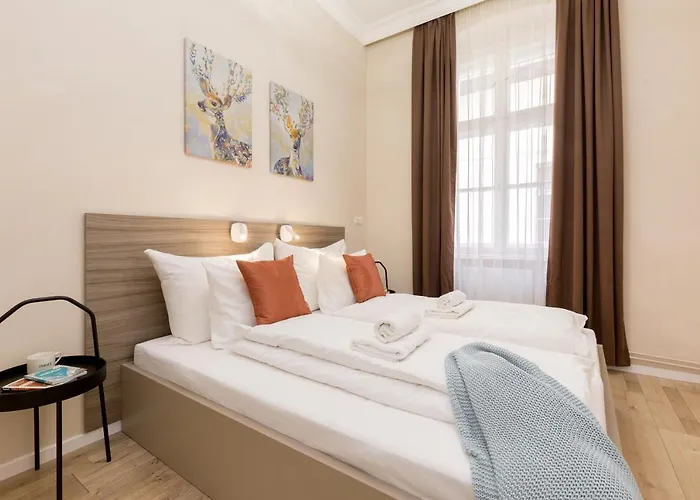 Cozy Dream In The Absolute Center