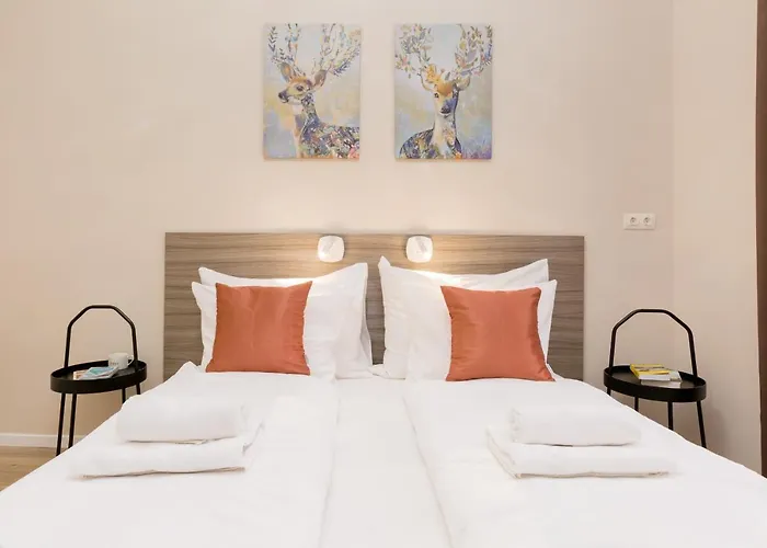 Cozy Dream In The Absolute Center