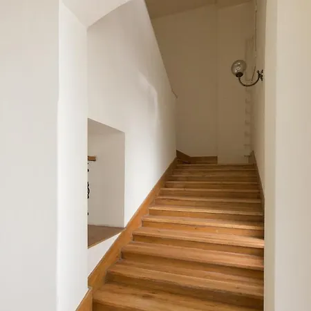 Cozy Dream In The Absolute Center Apartament *